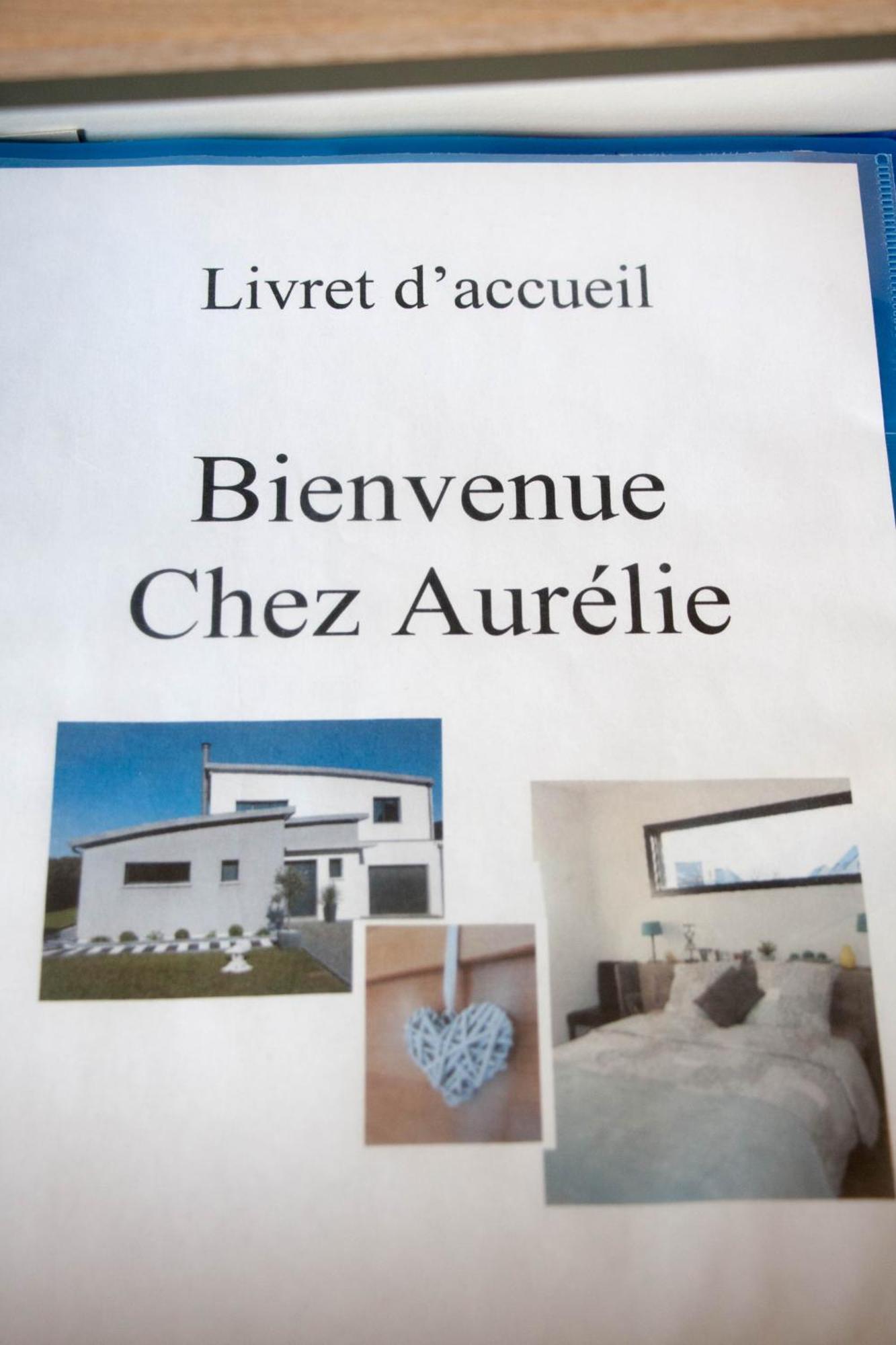 Ferienwohnung Chez Aurelie Saint-Alban  Exterior foto